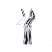 Extarcting Forceps 